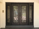 DRAKE WROUGHT IRON DOUBLE DOOR WDD-59