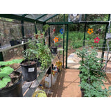 Exaco Royal Victorian Greenhouse VI34 Exaco Greenhouse and Accessories