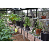 Exaco Royal Victorian Greenhouse VI34 Exaco Greenhouse and Accessories